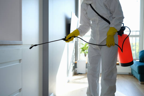 Best Certified Mold Removal  in Roseland, NJ