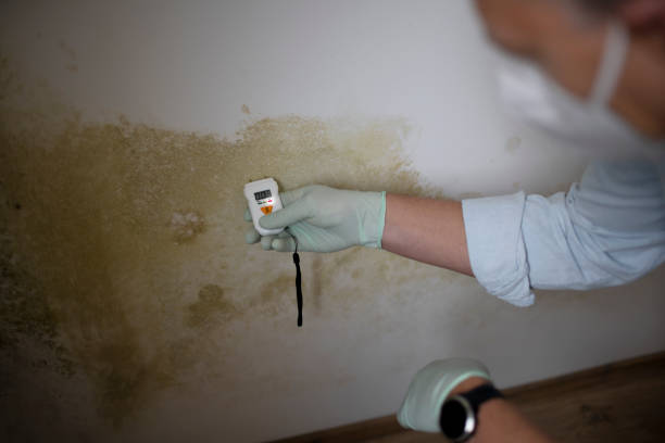 Water Damage Restoration in Roseland, NJ