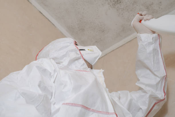 Best Same-Day Mold Removal  in Roseland, NJ